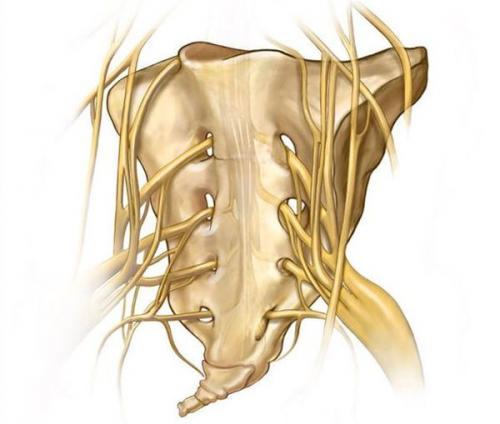 Лечение отложений солей в суставах. Отложение солей в плечевом суставе 03