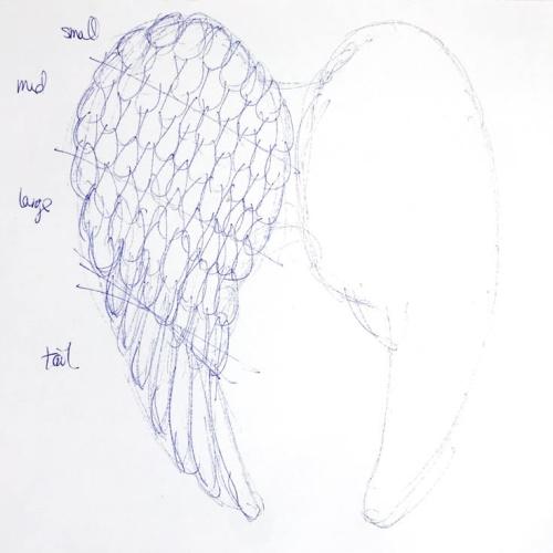 Крылья ангела из фатина своими руками. Как сделать крылья ангела своими руками для фотосессии