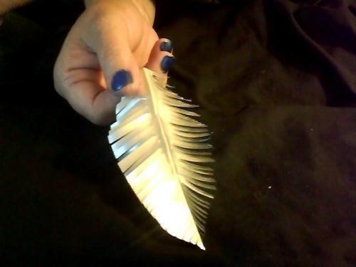 Костюм ангела своими руками: крылья и нимб. Мастер-класс с пошаговыми фотографиями 17 Костюм ангела своими руками: крылья и нимб. Мастер-класс с пошаговыми фотографиями 17