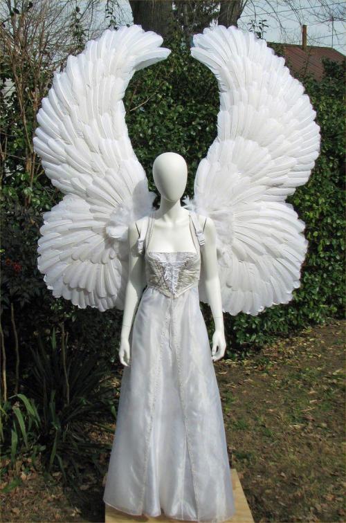 Как сделать костюм ангела своими руками в домашних условиях. Как сделать крылья в домашних условиях - инструменты, материалы и пошаговое описание изготовления 10 Как сделать костюм ангела своими руками в домашних условиях. Как сделать крылья в домашних условиях - инструменты, материалы и пошаговое описание изготовления 10