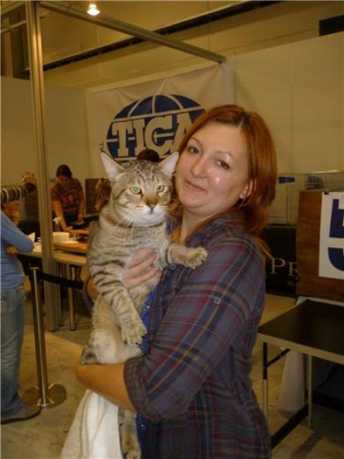 В чем ключевые отличия пиксибоба от обычной пикси для полного лица. Характер