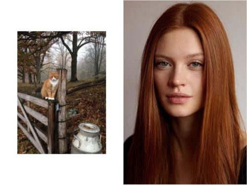 Стрижки для полного лица: как выбрать идеальный вариант 03 Стрижки для полного лица: как выбрать идеальный вариант 03