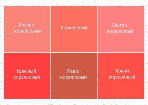 Терракотовый и коралловый цвет. Коралловый цвет – это, какой