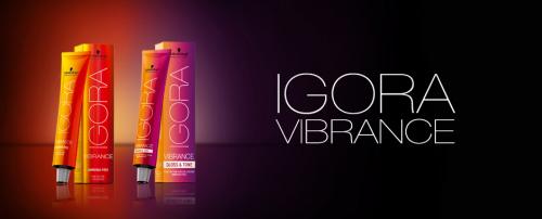 Цвета красок для волос. Какие бывают цвета волос 09 Цвета красок для волос. Какие бывают цвета волос 09