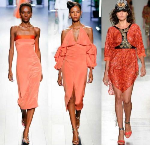 Терракотовый и коралловый цвет. Коралловый цвет – это, какой