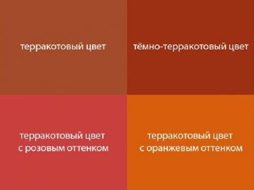 Терракотовый цвет, какому цветотипу подходит. Модный терракотовый: кому идет, как и с чем носить? 08