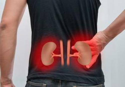 Тёмные круги и синяки под глазами. Болезни внутренних органов 01 Тёмные круги и синяки под глазами. Болезни внутренних органов 01