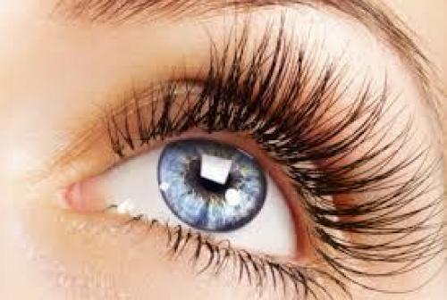 Как ухаживать за густыми бровями. Темные и густые брови – одно из главных украшений лица 02