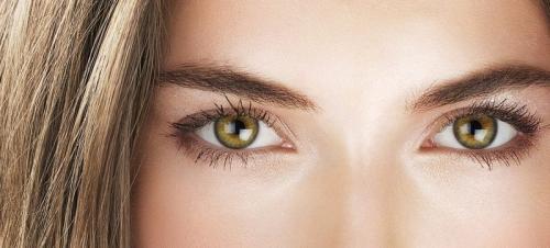 Как ухаживать за густыми бровями. Темные и густые брови – одно из главных украшений лица 03