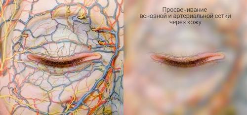 Хронические синяки и темные круги под глазами. Круги под глазами: причины и как от них избавиться? 02 Хронические синяки и темные круги под глазами. Круги под глазами: причины и как от них избавиться? 02