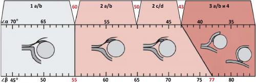 Протокол узи тазобедренных суставов у детей. УЗИ тазобедренных суставов у младенцев