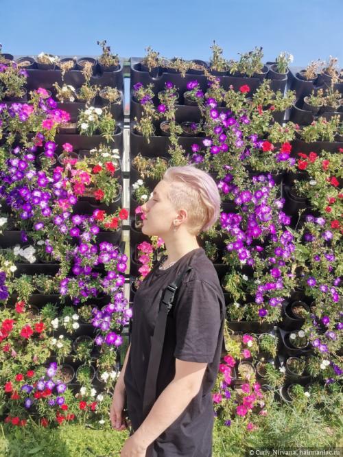 Безаммиачные краски для волос блонд. Безаммиачные красители Начнем с самого популярного способа тонирование — использование безаммиачных красителей. Производители многих брендов предлагают покупателям краски без аммиака, которые они смогут использовать в домашних условиях с минимальным вредом для волос — это щадящий вариант для тех, кто боится испортить свои волосы после окрашивания.