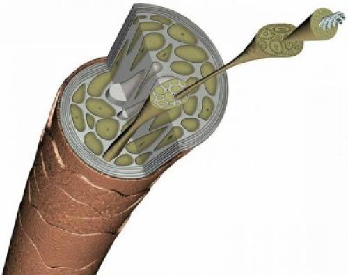 Яично-медовая маска для волос.. Маска для волос с яйцом и медом — польза и применение 06