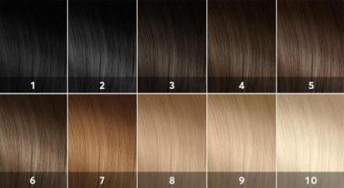 Можно ли смешивать цвета краски Schwarzkopf Nectra Color без аммиака. Т ехнология смешивания красок для волос