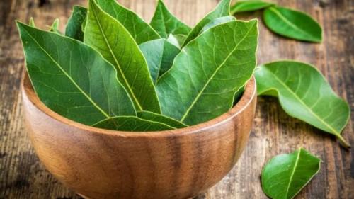 Противовоспалительные народные средства для суставов. Народные средства при болях в суставах