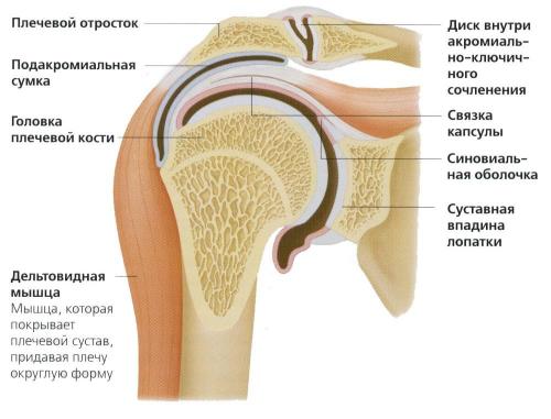 Какие методы лечения могут быть использованы для деформирующего артроза плечевого сустава. Лечение деформирующего артроза плечевого сустава