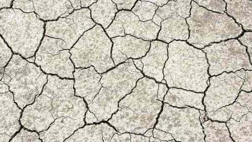 Маски для сухой кожи лица в домашних условиях от морщин. Маски для сухой кожи — 16 лучших рецептов