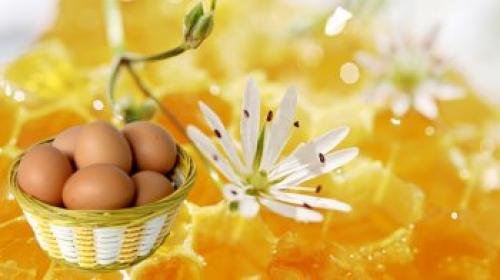 Сырое яйцо для волос. Чем полезны яйца для волос? Лечим шевелюру и делаем маски