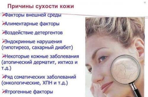 Сухая кожа лица народные средства. Лучшие 15 домашних масок для сухой кожи лица