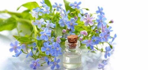 Увлажняющая маска для сухой кожи лица в домашних условиях. Увлажняющая маска для лица — 21 лучший рецепт