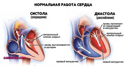 Препараты при острой сердечной недостаточности. Что такое острая сердечная недостаточность, симптомы, неотложная помощь и методы лечения