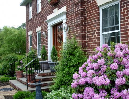 Декоративные растения — лучшие и самые популярные растения для сада (115 фото)