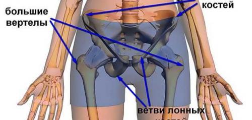 Воспаление мениска мазь. Симптомы бурсита