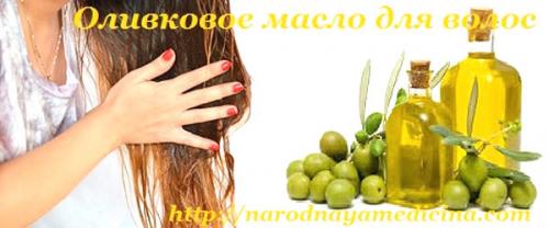 Оливковое масло для волос от выпадения. Оливковое масло для волос. Польза.