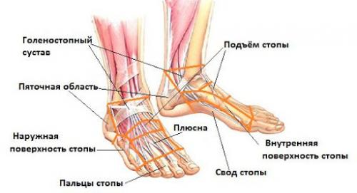 Продольное плоскостопие. Чем отличается продольное и поперечное плоскостопие?