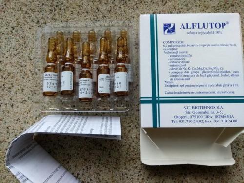 Новая клеточная технология восстановления хрящевой ткани. Биомедицинские клеточные продукты для регенерации хрящевой ткани 01 Новая клеточная технология восстановления хрящевой ткани. Биомедицинские клеточные продукты для регенерации хрящевой ткани 01