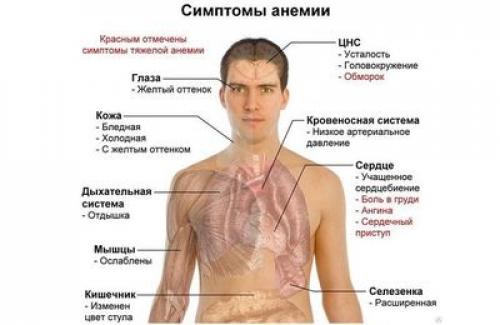 Горячие колени и суставы: причины и методы лечения 07 Горячие колени и суставы: причины и методы лечения 07