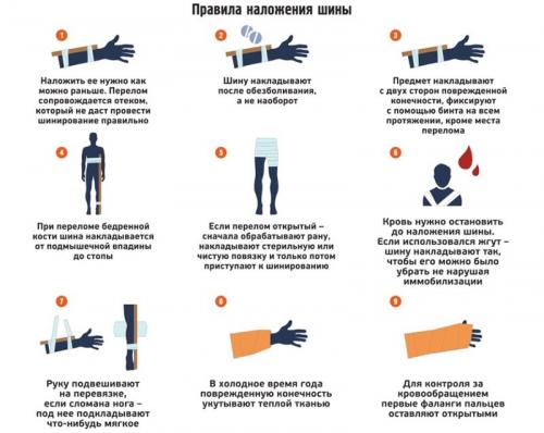 Питание при переломе ноги и других повреждениях. Первая помощь при переломах