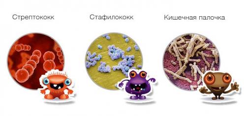 Мазь на основе лаврового листа. Что собой представляет болезнь?