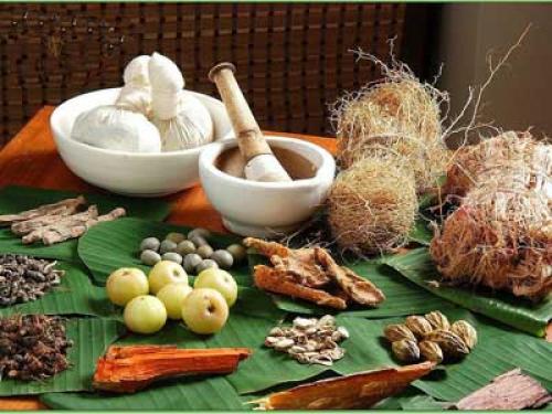 Эффективные народные методы лечения остеопороза 02 Эффективные народные методы лечения остеопороза 02