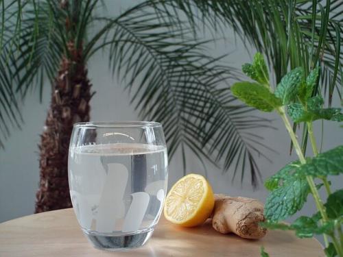 Как долго нужно принимать травяные средства, чтобы заметить улучшение. Травы, ускоряющие обмен веществ в организме: несколько рецептов