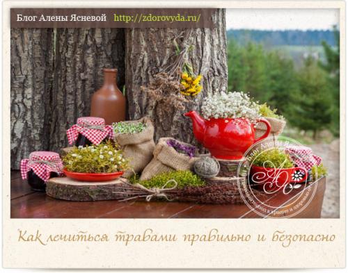 В каких случаях лучше всего консультироваться с врачом перед применением трав. Как лечиться травами правильно и безопасно — полная инструкция к применению
