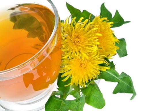 Как правильно приготовить лекарственные настои и отвары для лечения остеопороза. Лекарственные травы при остеопорозе