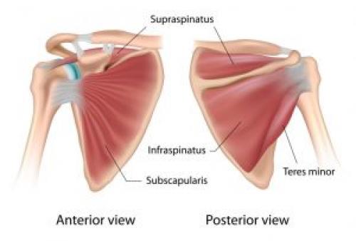 Какие виды лечения существуют для повреждений вращательной манжеты плеча. Поражение вращательной манжеты плеча: причины, диагностика и лечение