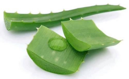 Какой эффект дают маски для волос с медом и куриным яйцом. Яично-медовая маска