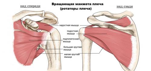 Как разработать плечевой сустав в Москве: полное руководство 03 Как разработать плечевой сустав в Москве: полное руководство 03