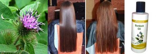 Как часто следует использовать маски с репейным маслом для видимых результатов. Полезные советы по использованию репейного масла