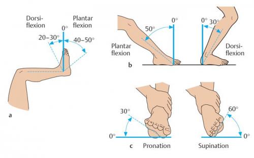 Травмы области голеностопного сустава и стопы. Травма голеностопного сустава: методы диагностики и лечения