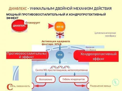 Самые лучшие бады для суставов. Сверхприбыль фармацевтических компаний или реальная польза для суставов?