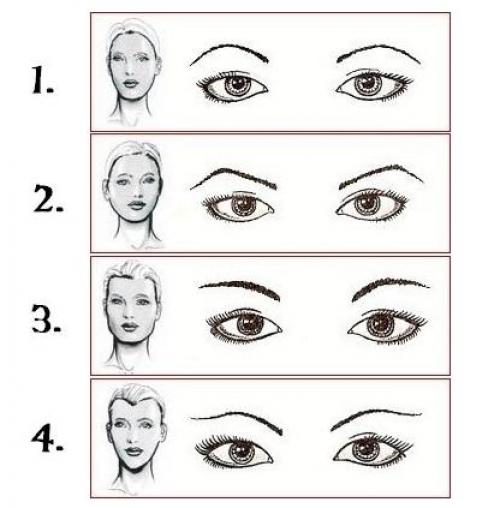 Как правильно измерить и определить идеальную форму бровей для моего лица. Онлайн подобрать форму бровей по фотографии