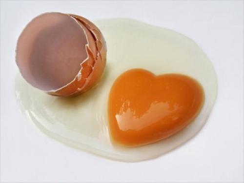 Существуют ли противопоказания для использования яичной маски для волос. Польза яичного желтка