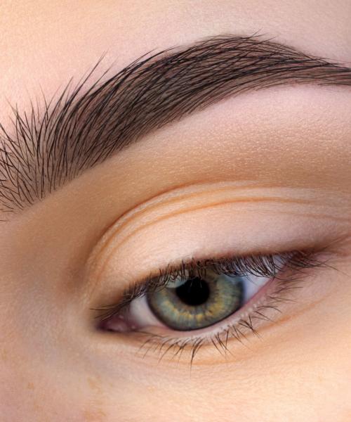 Как отрастить брови в домашних условиях быстро и красиво. Как избавиться от проблем после чрезмерного выщипывания бровей и быстрее их отрастить 02