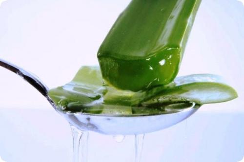 Какие полезные свойства объединяют яйцо, алоэ сок и мед. Лечебные свойства и польза