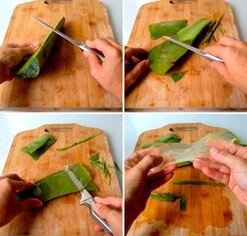 Как приготовить маску для лица из яйца, алоэ сока и меда. Маски для лица с алоэ омолаживающие рецепты, от прыщей, морщин, черных точек и для молодой кожи