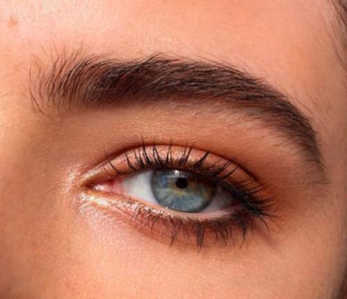 Топ-5 модных процедур для бровей в 2019 году 23 Топ-5 модных процедур для бровей в 2019 году 23