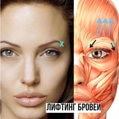 Самые модные процедуры для бровей в 2025 году. ТРЕНД 2025: Лифтинг бровей. Комментарий косметолога на тему самых популярных методик.